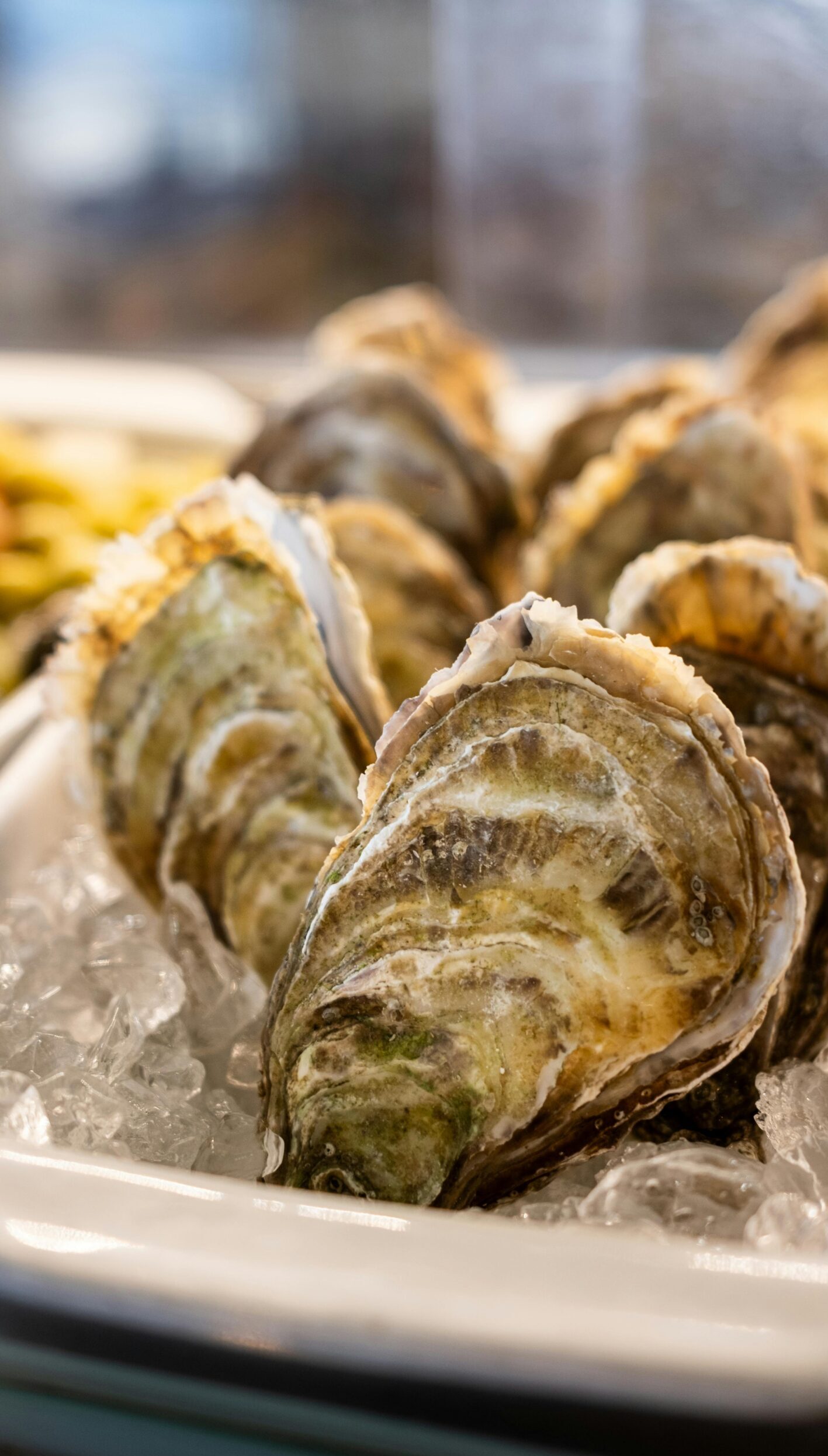 Close-up of fresh oysters on ice, showcasing their texture and freshness in a seafood setting.